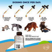 Worm Treatment for Cats & Dogs Liquid Herbal Supplement with Probiotic