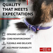 Purple Rolled Leather Dog Collar – 21–24 in Neck