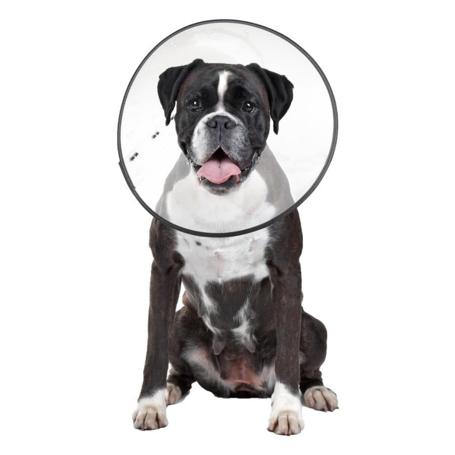 ZenPet E-Clear Plastic Recovery Collar Size X-Large