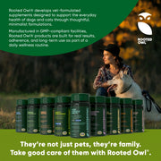 Turmeric - Pristine Pet Supply