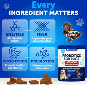 Probiotics for Dogs 70 Chews Duck Flavor Gut Health & Prebiotics