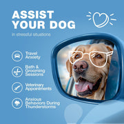 Chewia Dog Calming Soft Chews with Melatonin & Valerian Root