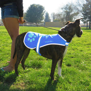 Reflective Dog Safety Vest – Blue, Large