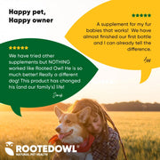 Rooted Owl Joint & Muscle Health Pet Supplement - Pristine Pet Supply
