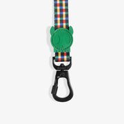 Travis | Leash