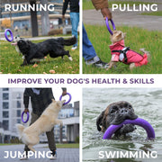 Dog Ring Fetch & Tug Toy – Mini, 2 Rings, Purple