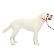 Petsafe Dog Gentle Leader Head Collar Red Large