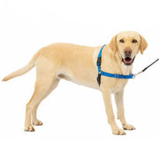 Petsafe Dog Easy Walk Harness Blue Large
