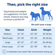 Petsafe Dog Easy Walk Harness Blue Medium / Large