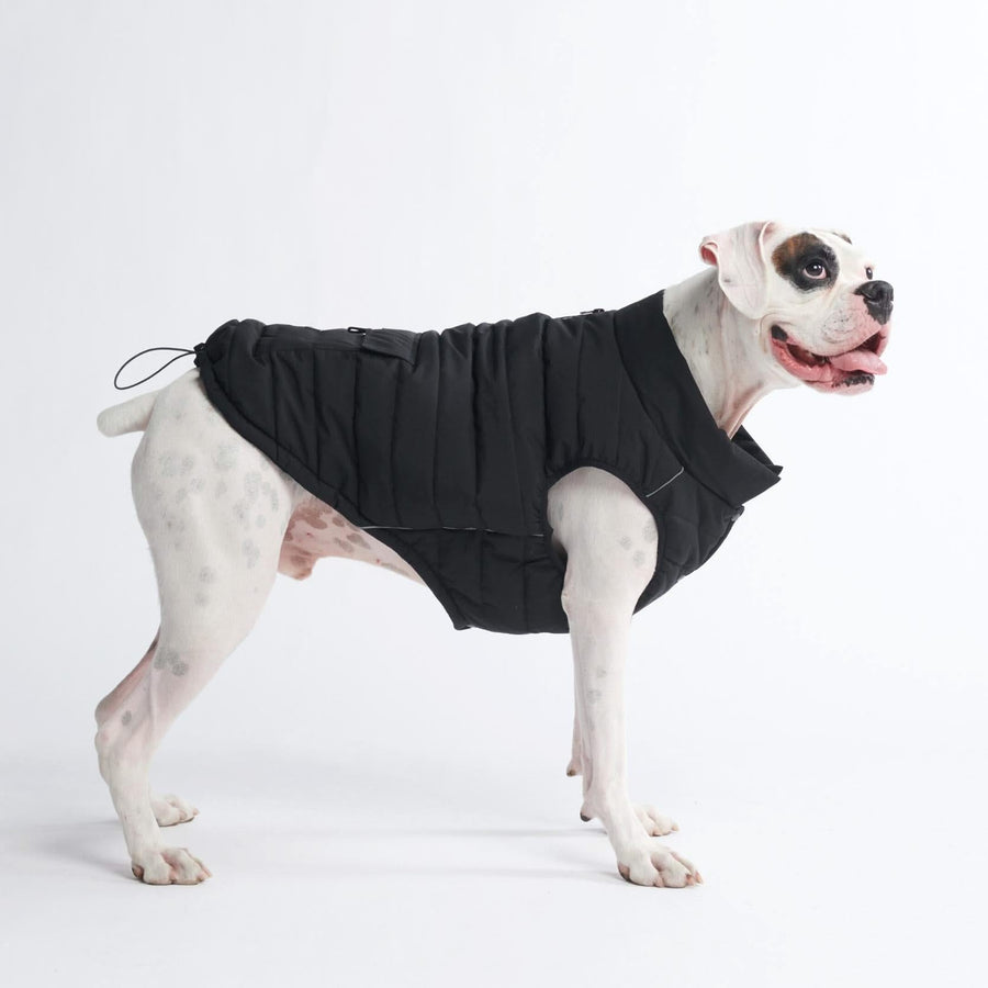 Spark Paws WarmShield Water-Resistant Dog Jacket – Black
