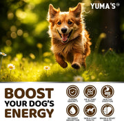Yuma's Turkey Tail Multivitamin Mushroom Chews for Dogs – 170 Count