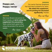 Cardio Support - Pristine Pet Supply