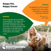 Mushroom Immune Support - Pristine Pet Supply