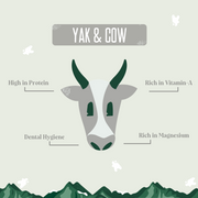 Yak9 Chews Yak and Cow Milk Chews for Dogs