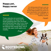 Turmeric - Pristine Pet Supply