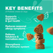 Chewia Dog Probiotic & Digestive Enzyme Powder with Pumpkin