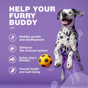 Dog Multivitamin Chews – 15-in-1 Formula
