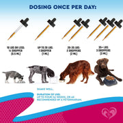 Cat & Dog UTI Treatment Drops 60 ml 2-Pack Cranberry & D-Mannose Bladder Support