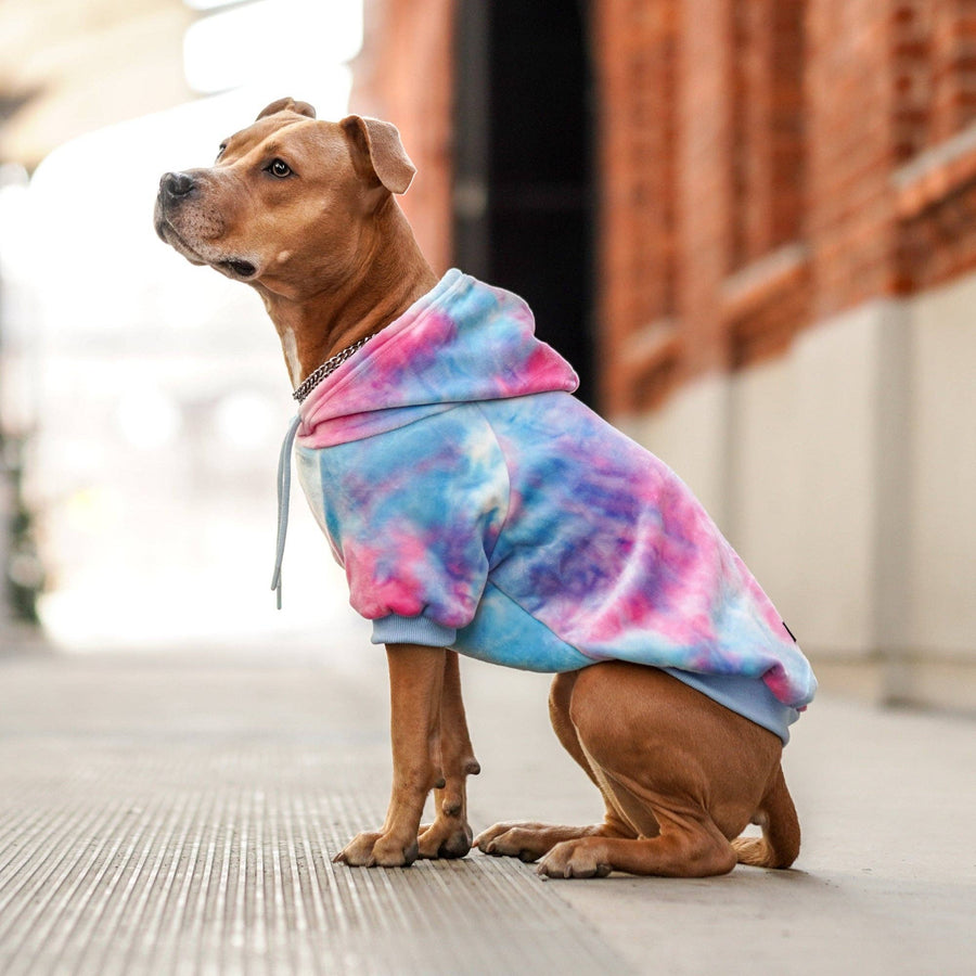 Spark Paws Velvet Dog Hoodie – Snow Cone