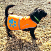 SafetyPUP XD Reflective Dog Vest, Orange – Small