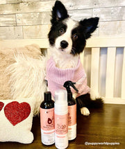 Kin+Kind Grapefruit Energizing Waterless Dog Bath - 8 oz