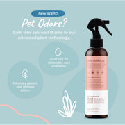 Kin+Kind Bergamot Lime Dog Odor Neutralizer - 12 oz