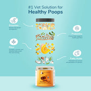 Kin+Kid Supplementplement Pumpkin Boost 8oz. (Large) Digestion