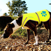 Reflective Dog Safety Vest – Yellow, XS
