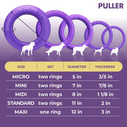 Dog Ring Fetch & Tug Toy – Mini, 2 Rings, Purple