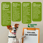 Liver Support - Pristine Pet Supply