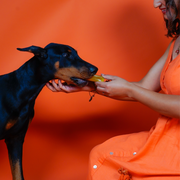 Yak9 Chews Turmeric Yak Milk Chews for Dogs