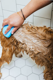 Spritz (Dog Shampoo & Conditioner Duo)