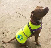 Reflective Dog Safety Vest – Yellow, XS