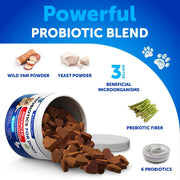Probiotics for Dogs 240 Count 2-Pack Digestive Enzymes & Prebiotics Gut Health