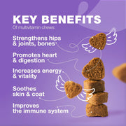 Dog Multivitamin Chews – 15-in-1 Formula