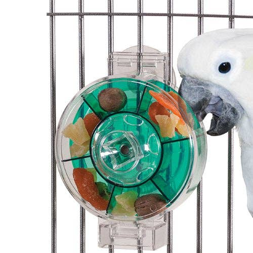 Featherland Paradise Generation II Foraging Wheel Bird Toy by Featherland Paradise - bird treat