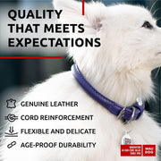 Purple Rolled Leather Dog Collar – 10–13 in Neck