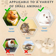Acrylic Hamster Cage 2 Tier Habitat with Accessories Transparent Small Pets