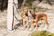 Euro-Dog Outdoor Style Black Reflective Adjustable Double Leash