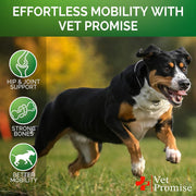 Glucosamine Hip & Joint Chews for Dogs – 240 Count, 2-Pack