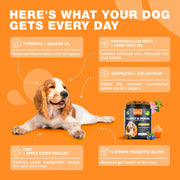 Dog Allergy Relief Chews  Itch Relief for Dogs  180 Allergy Chews for Itching Skin with Probiotics, Colostrum, Salmon Oil  Allergy, Skin and Coat, Immune, Digestion Support Supplement  Hot Spots