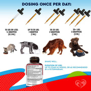 Intestinal Cleanse Drops for Dogs & Cats 60 ml 2-Pack Wormwood & Black Walnut