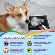 Prenatal Vitamins for Dogs & Cats 60 Pills Folic Acid & Minerals