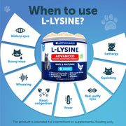 L-Lysine Powder for Cats – 900 mg per Serving