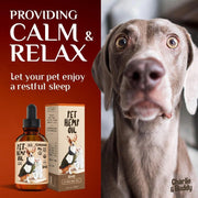 Hemp Oil for Dogs & Cats – Skin, Coat & Joint Support