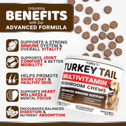 Yuma's Turkey Tail Multivitamin Mushroom Chews for Dogs – 170 Count