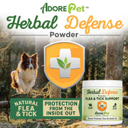 Herbal Defense Powder