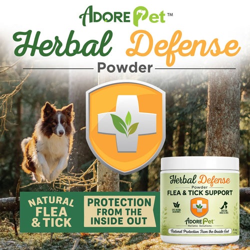 Herbal Defense Powder