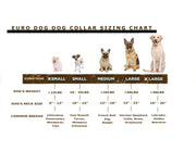 Euro-Dog Pro Line Quick-Release Leather Dog Collar with Metal Buckle