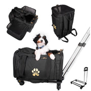 Air Pup Airline Pet Travel Carrier